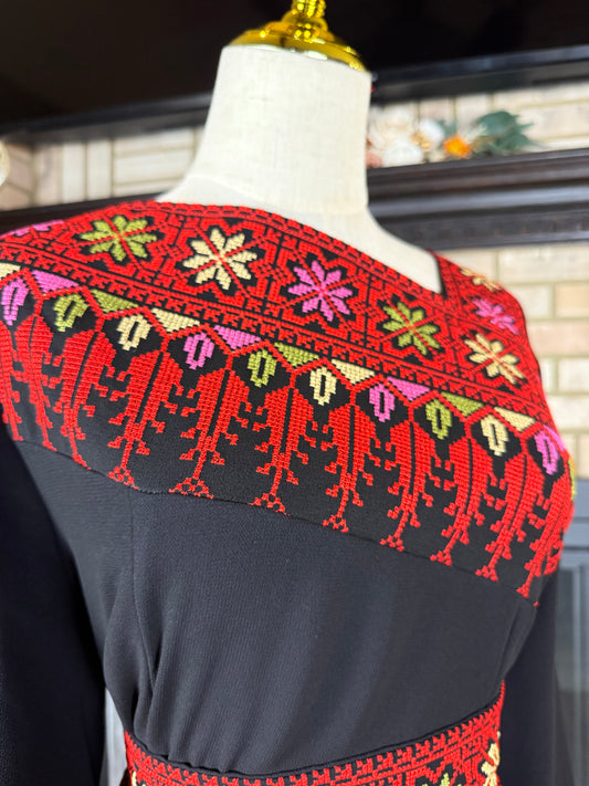 Black/Multicolor Red Sultana Embroidered Dress
